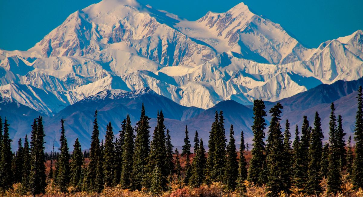 alaska tours