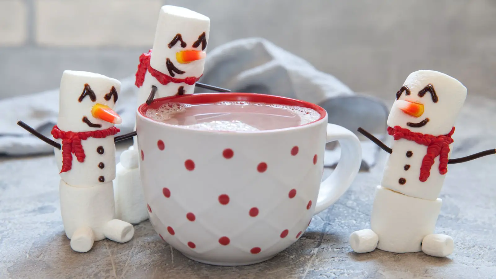 fun and cute christmas mug for burr basket
