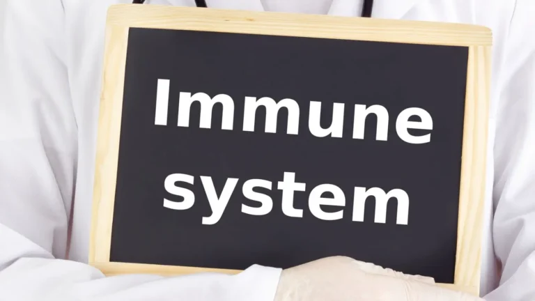 immune system