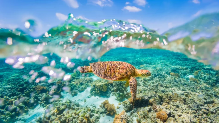 20 Incredible Places to Visit Before You Die