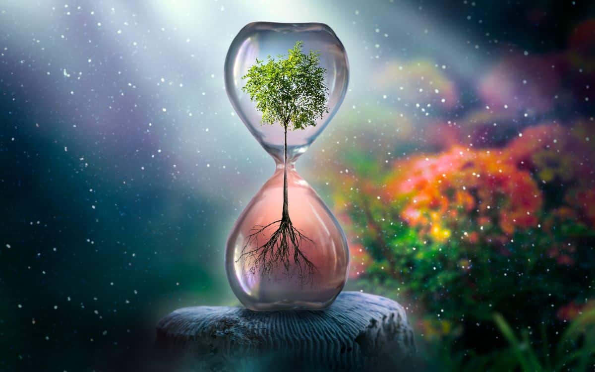 change your life tree in hourglass
